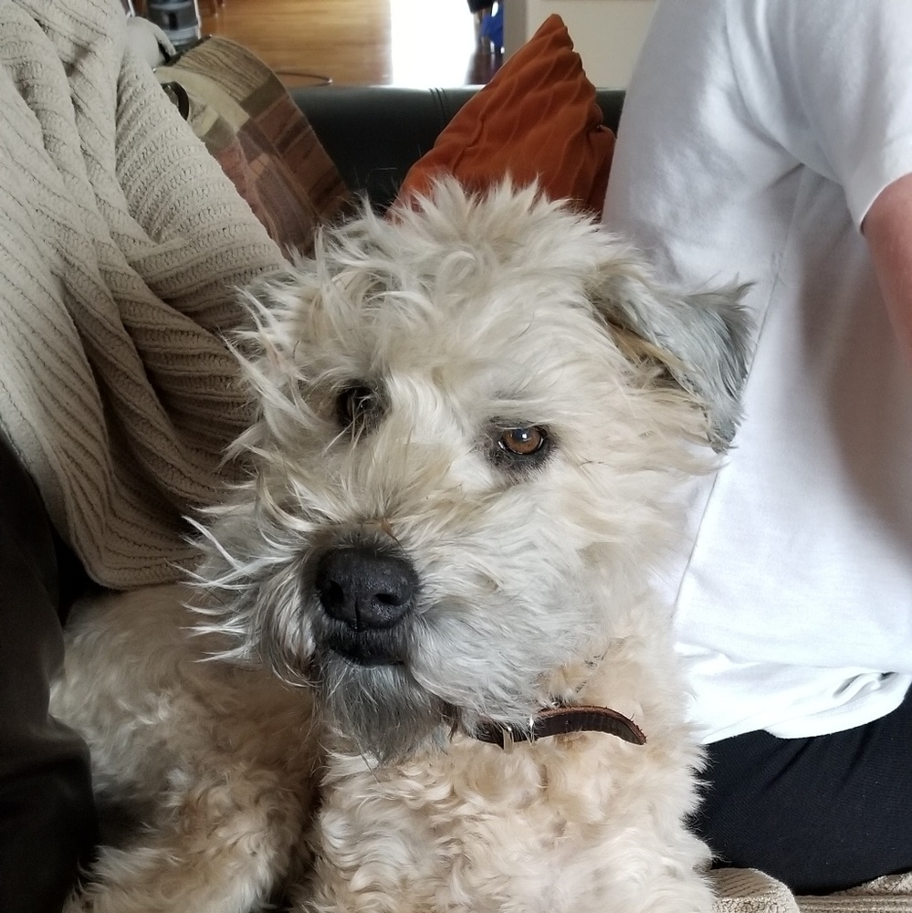 Meet your Posher, Stacie